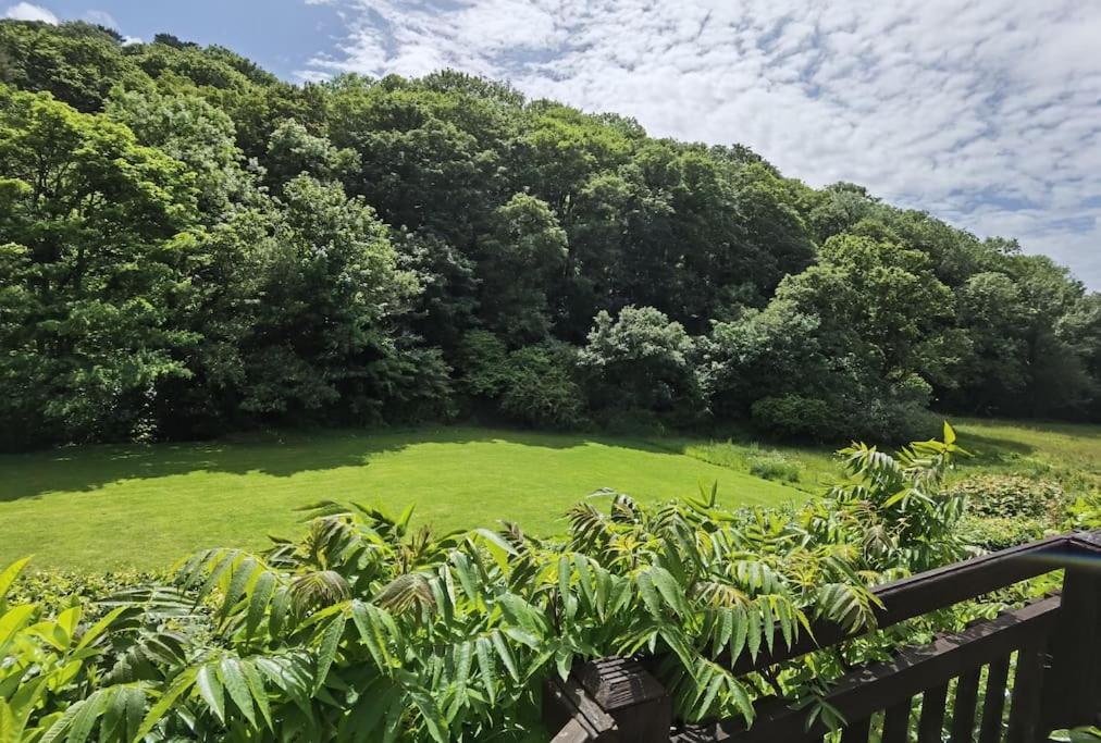 Kallowen Cottage At Crackington Haven, Near Bude And Boscastle, Cornwall Εξωτερικό φωτογραφία